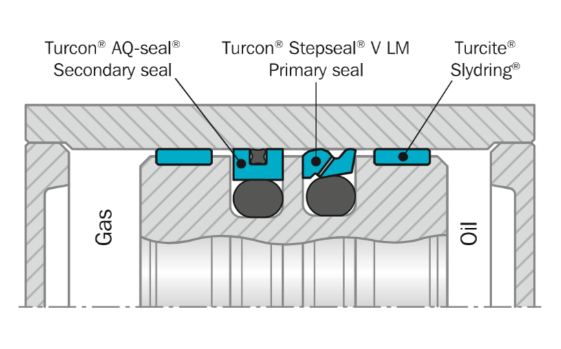Turcon Stepseal V LM 3